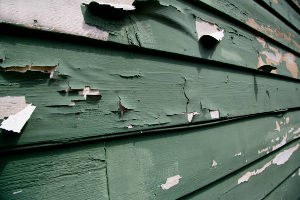 Junk Removal for Events in Munfordville, KY