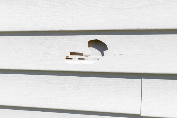 Best Construction Debris Removal  in Munfordville, KY